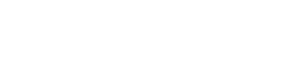 Wordmark in solid white